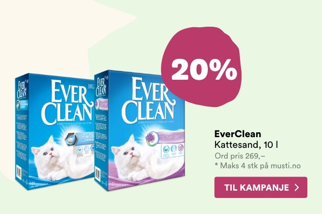 20% på Ever Clean kattesand