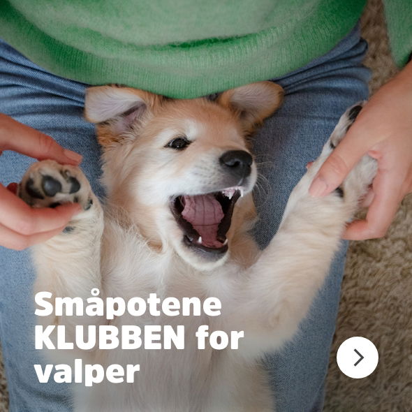 musti.no startside valp Navigasjon småpotene