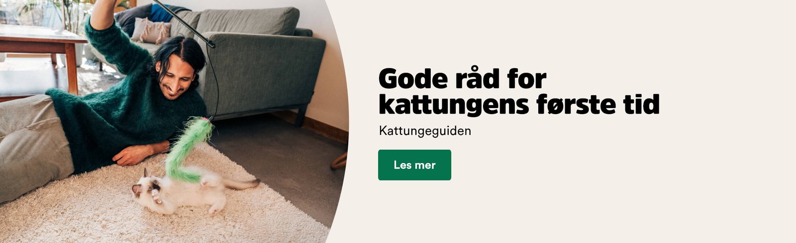 musti.no startside kattunge kattungeguiden