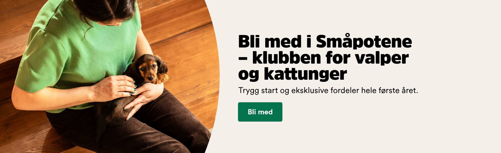 musti.no startside katt sm&aring;potene
