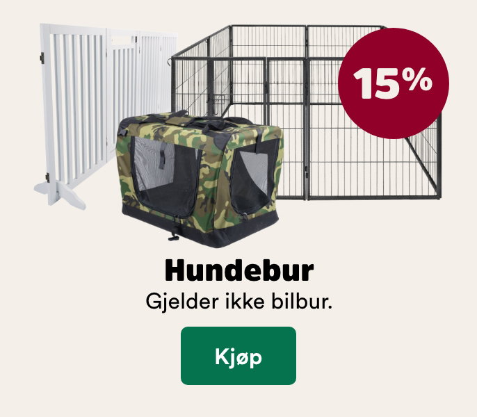 musti.no startside valp k9 bur 15%