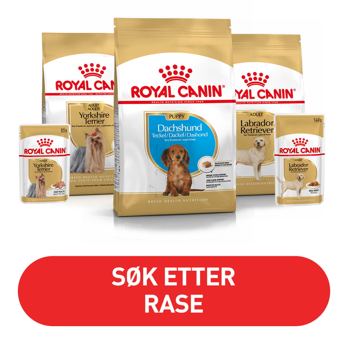 Musti Royal Canin Breed