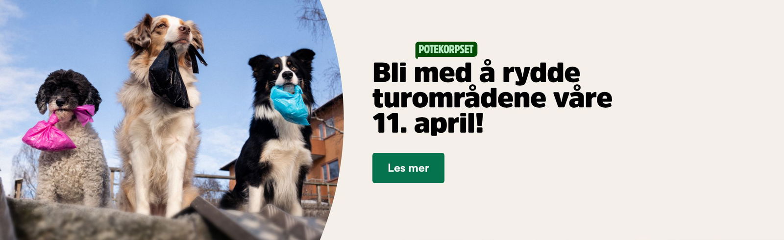 musti.no aktiviteter poop walk