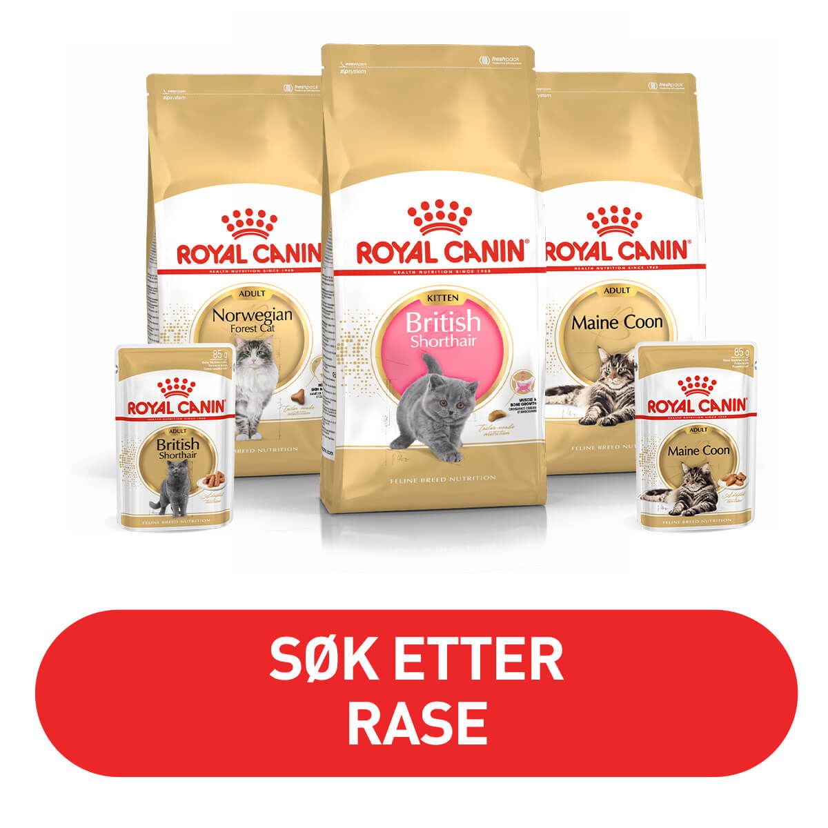 Musti Royal Canin Breed