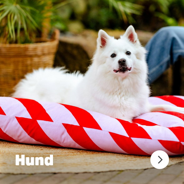 musti.no startside Navigasjon HUND