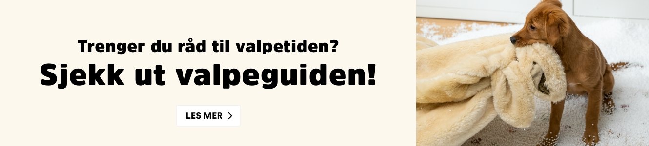 musti.no startside valp valpeguide desktop