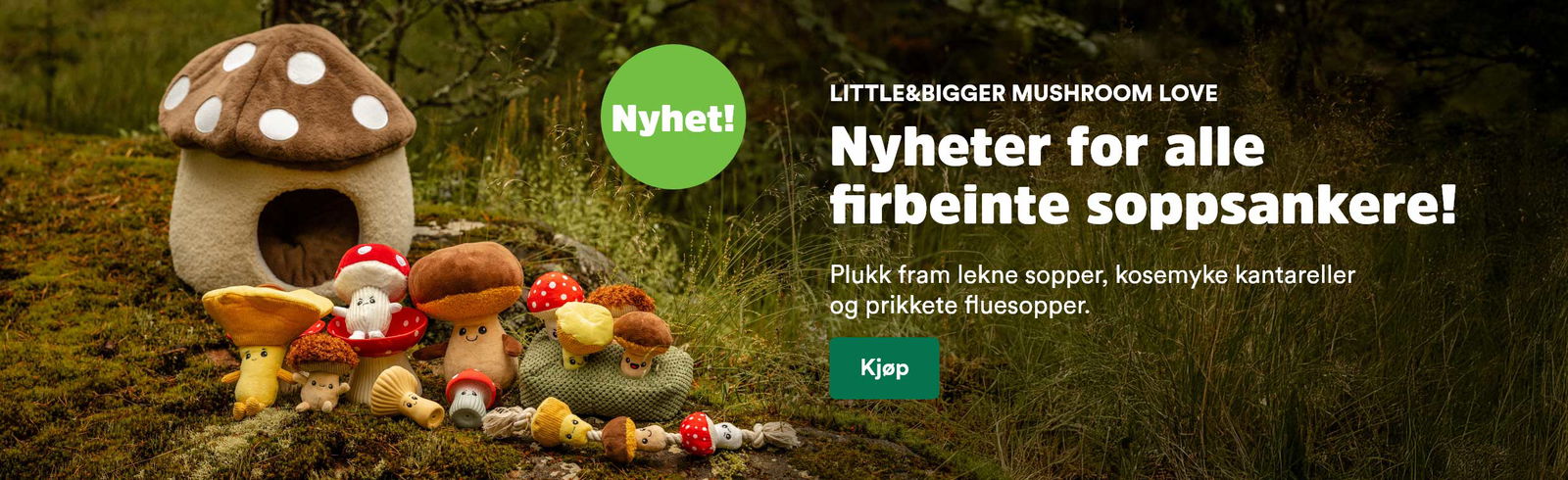 musti.no startside hund little&bigger mushroom love