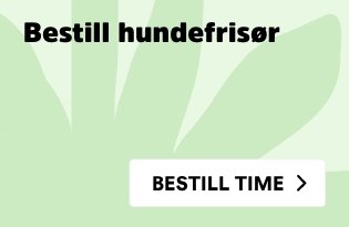 hundefrisør