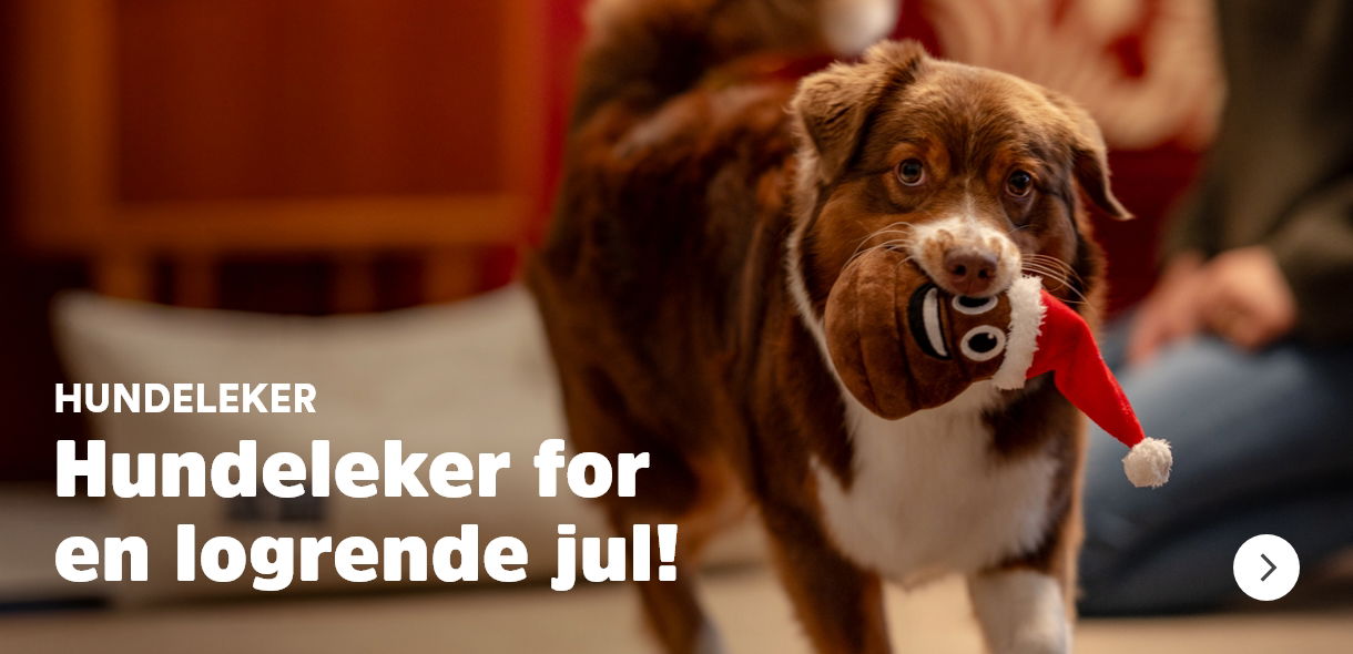 musti.no jul hundeleker
