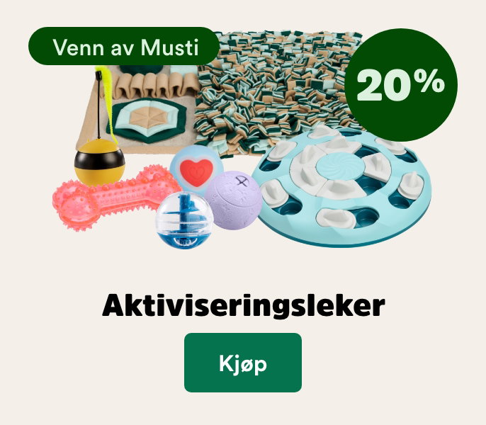 musti.no startside valp k8