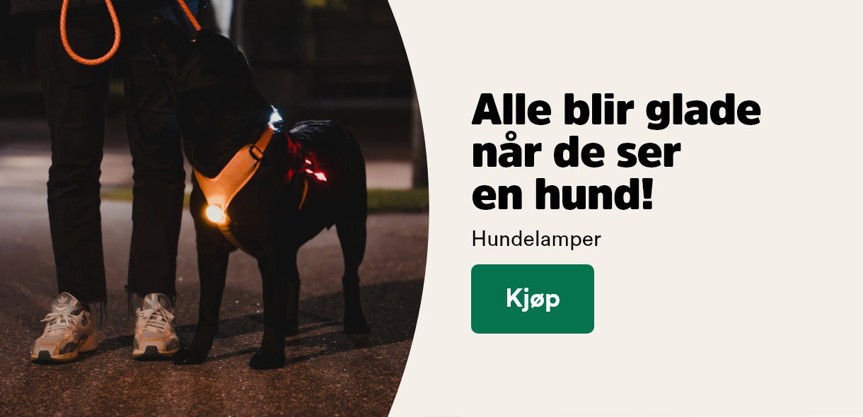 musti.no hundelys uplift