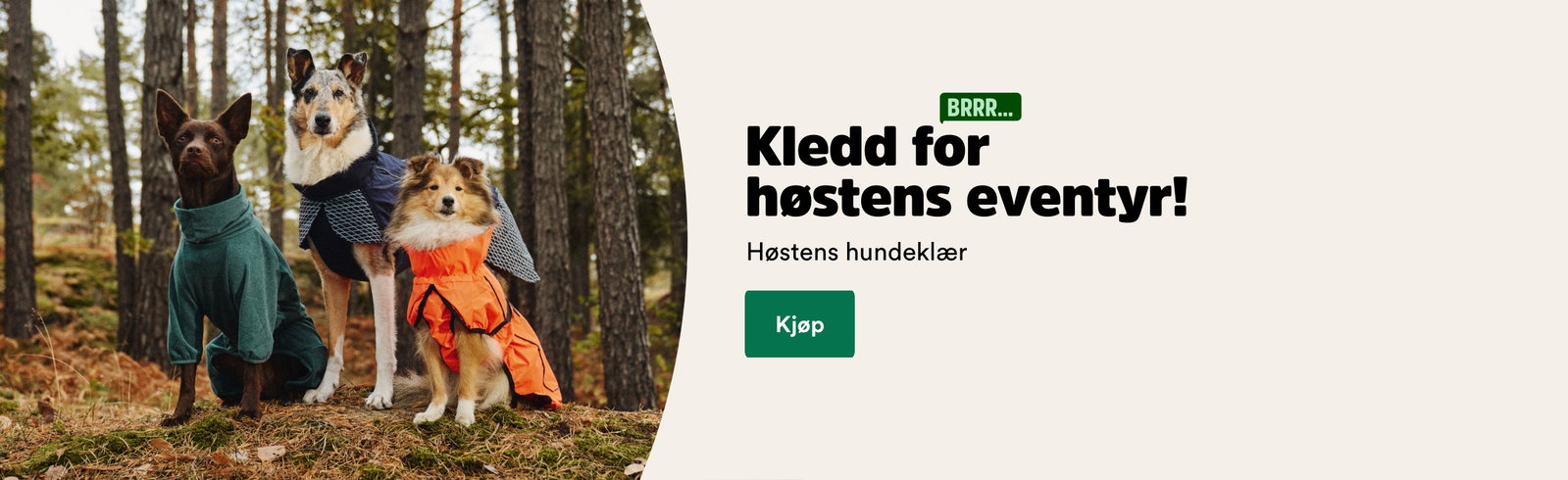musti.no startside valp h&oslash;st