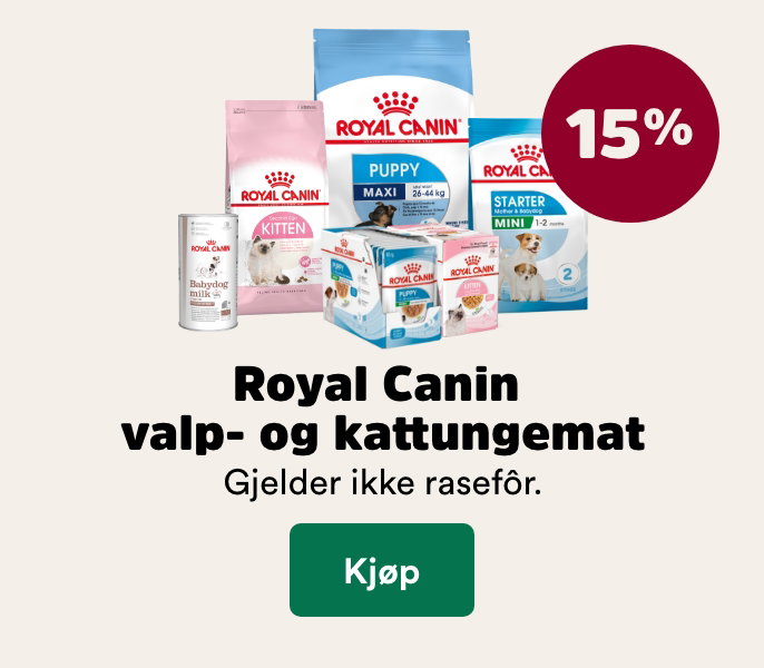 musti.no kampanjeside katt k8 