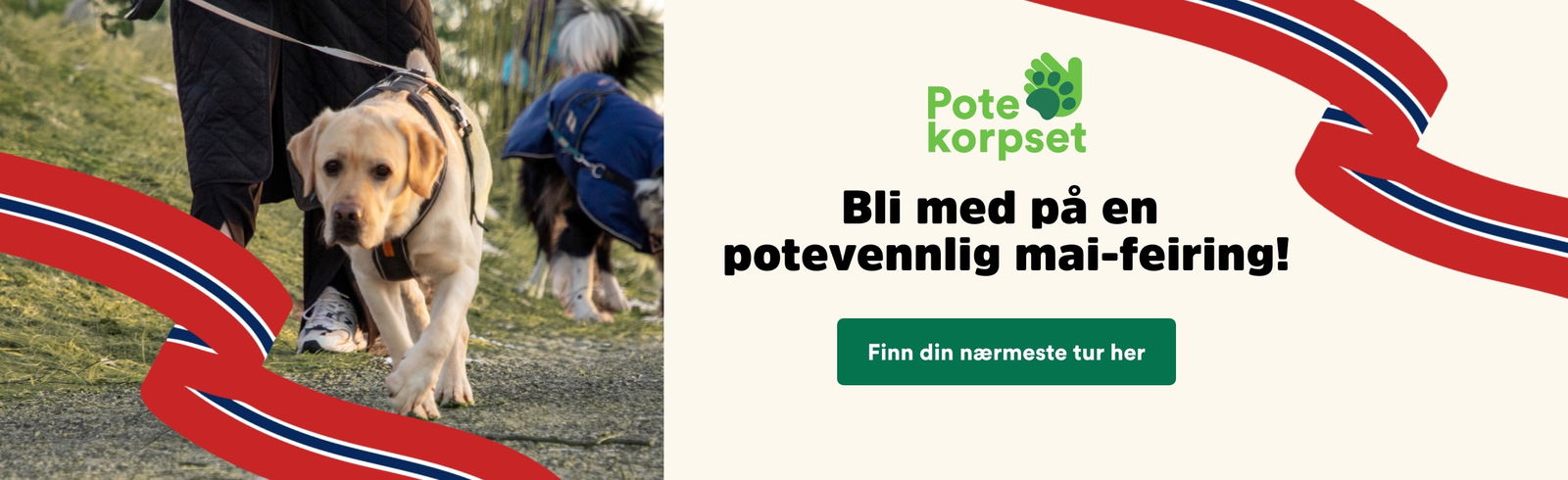 musti.no aktiviteter 17 mai tog