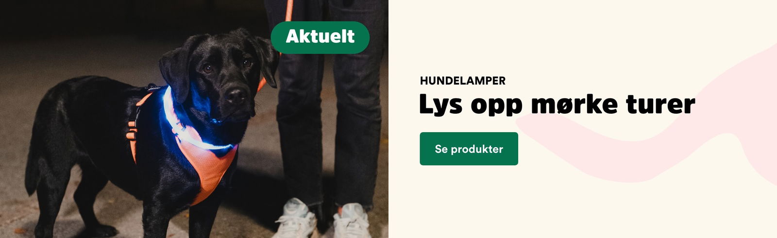 hundelamper