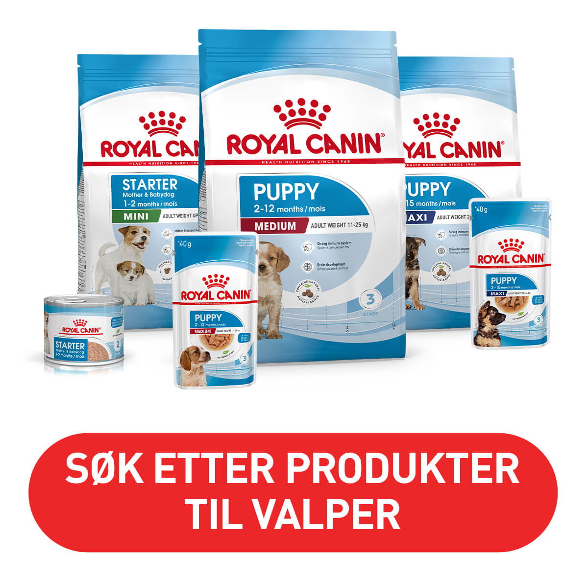 Royal Canin valpemat