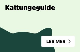 Kattungeguide