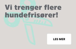 Vi trenger flere hundefrisører på Spa & velvære