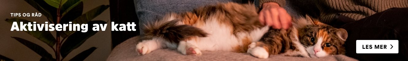 musti.no startside katt aktivisering