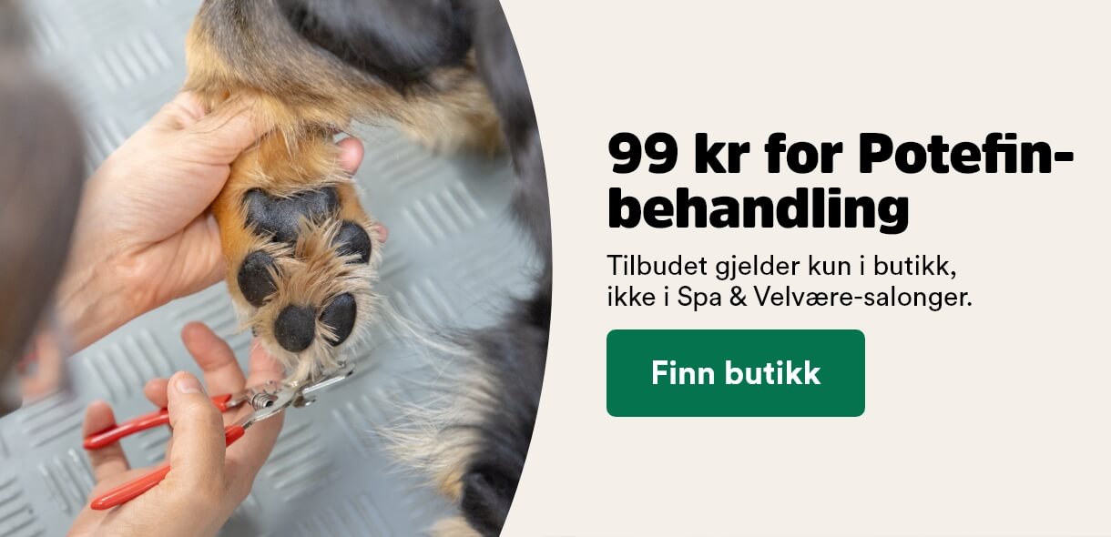 musti.no aktiviteter wellness week potefin