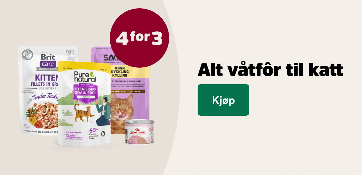 musti.no aktiviteter cat week wet food