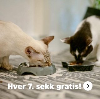 musti.no startside katt Navigasjon 6+1