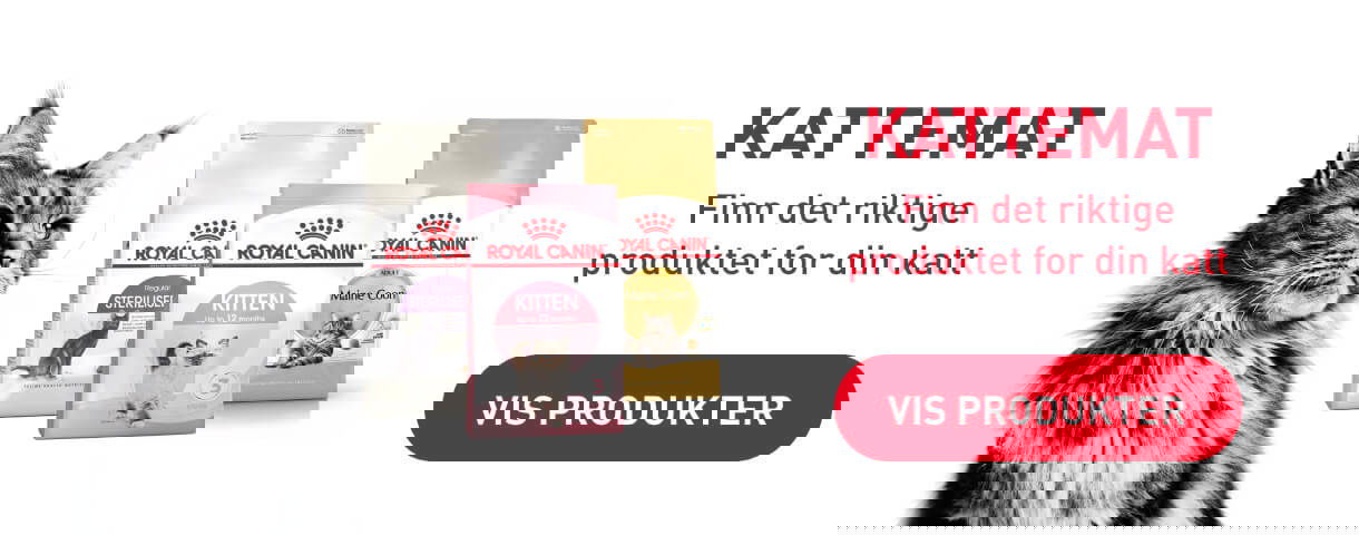 Musti Royal Canin katt