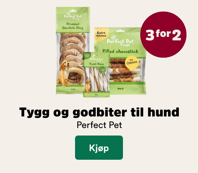 musti.no startside hund k6 perfect pet 3 for 2