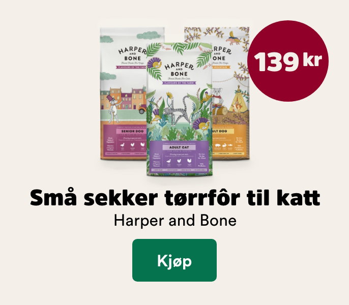 musti.no startside katt k5 harper and bone t&oslash;rrfor 139,-