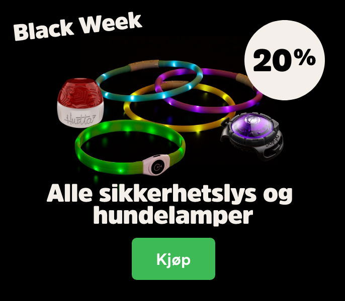 musti.no kampanjeside hund black week lights