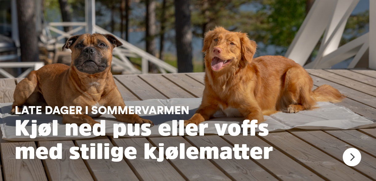 musti.no startside hund uplift kjølematter