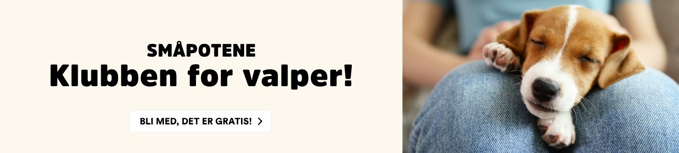 musti.no startside valp småpotene dektop