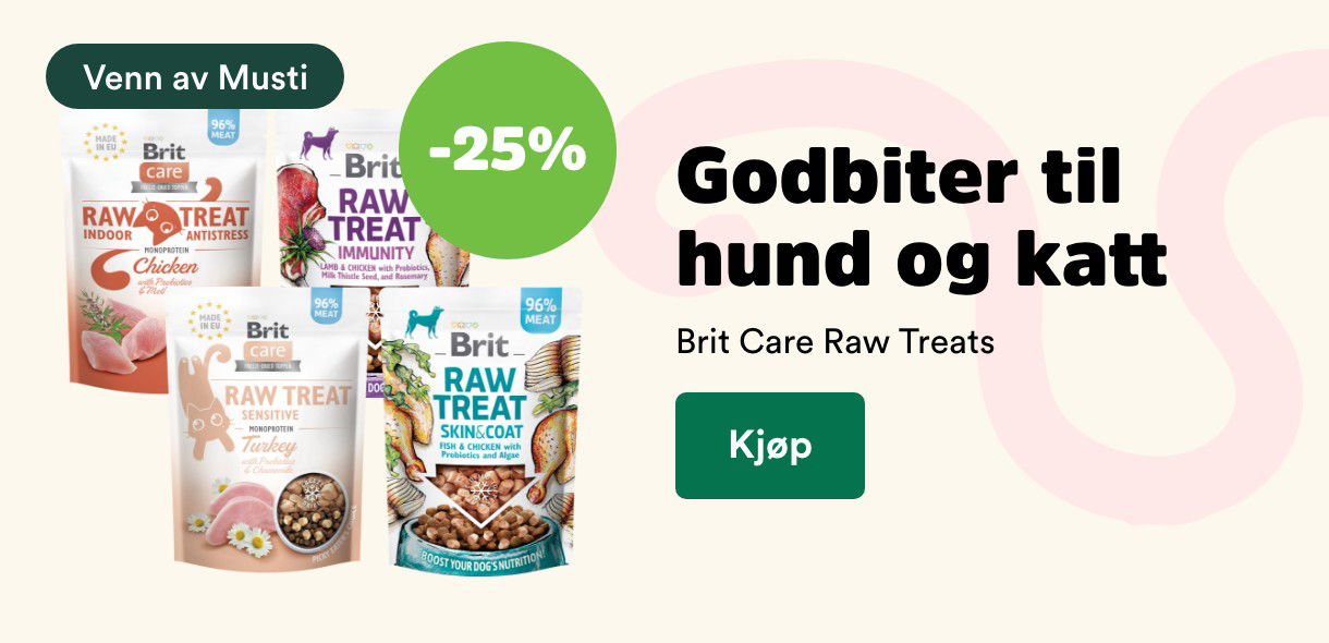 musti.no startside hund k11 brit care raw