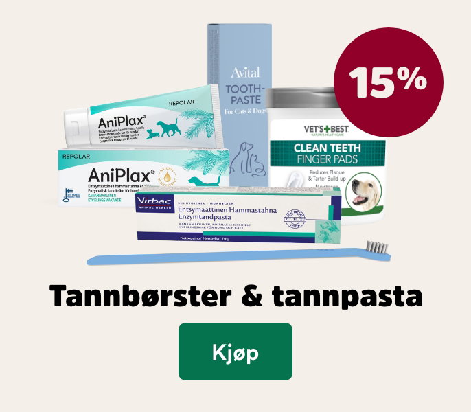 musti.no startside valp k8 tannkrem 15%