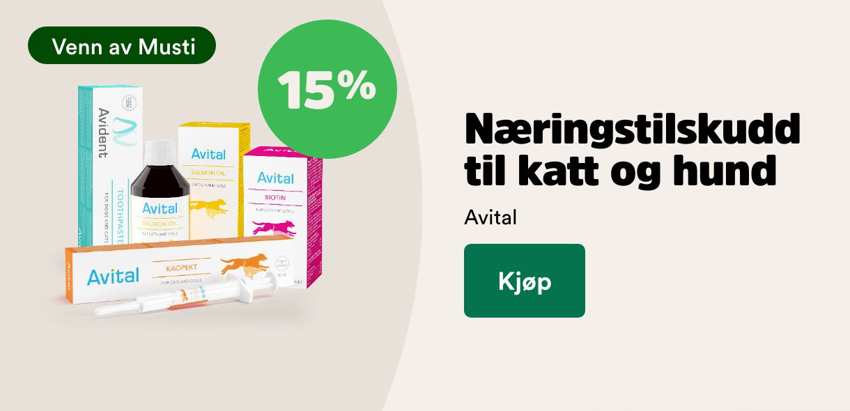 musti.no startside katt 15% p&aring; avital kosttilskudd