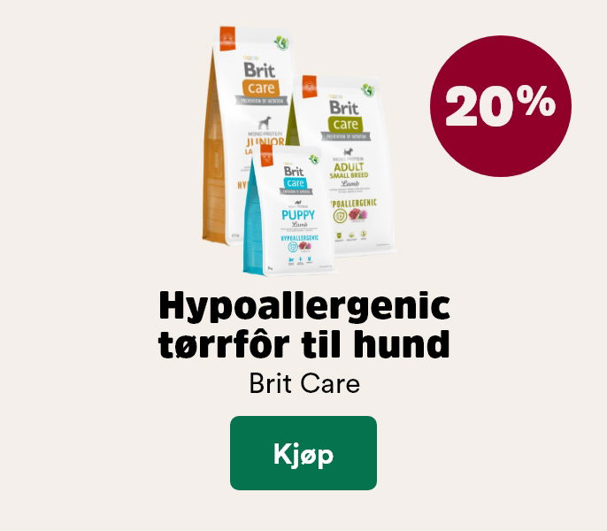 musti.no startside valp k3 brit care hypoallergenic