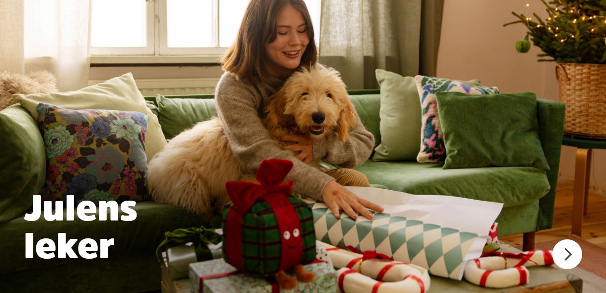 musti.no hundens jul julegavetips