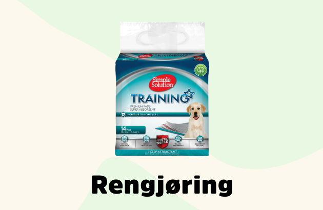 rengjøring for valp