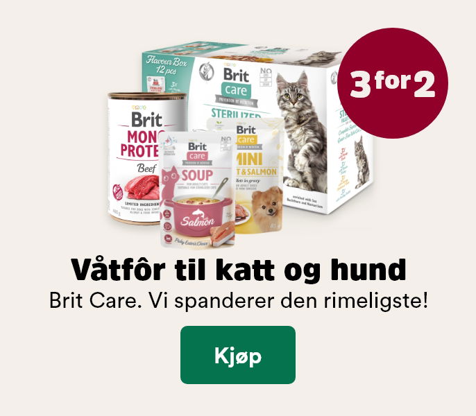 musti.no startside hund k3 brit care v&aring;tfor