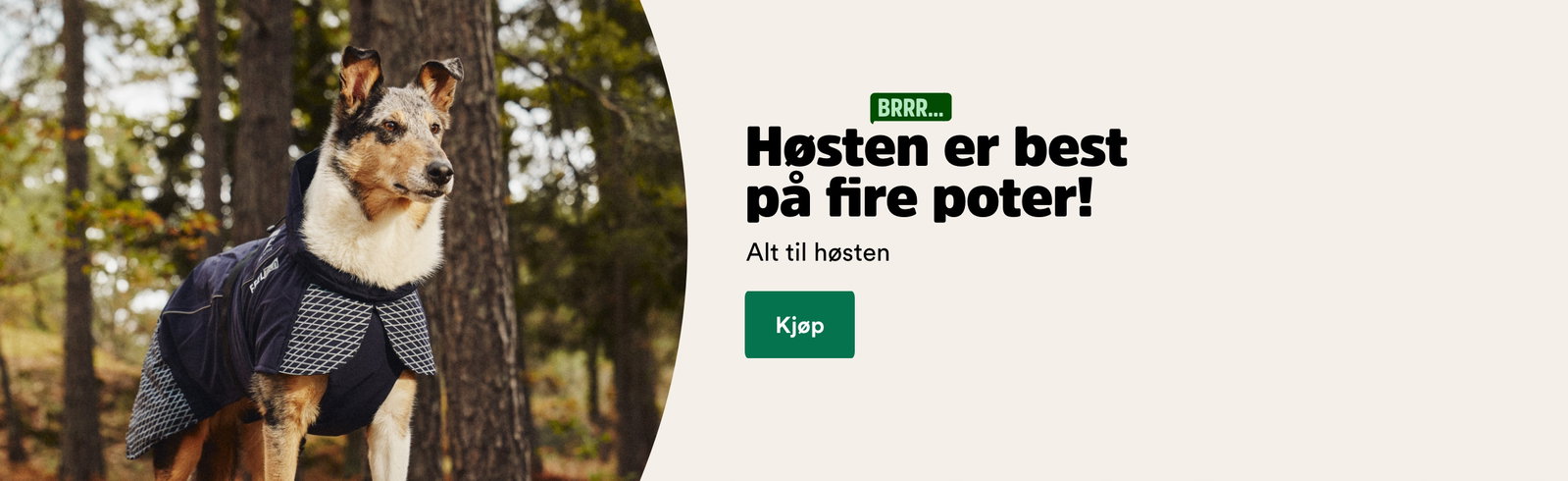 musti.no startside h&oslash;st