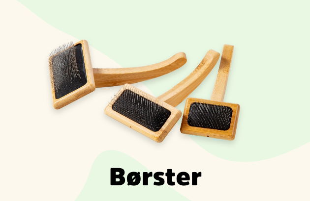 hundebørste