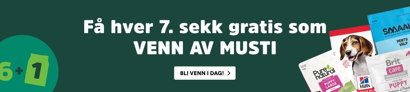 musti.no startside valp 6+1