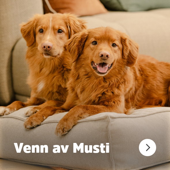 musti.no startside Navigasjon KUNDEKLUBB