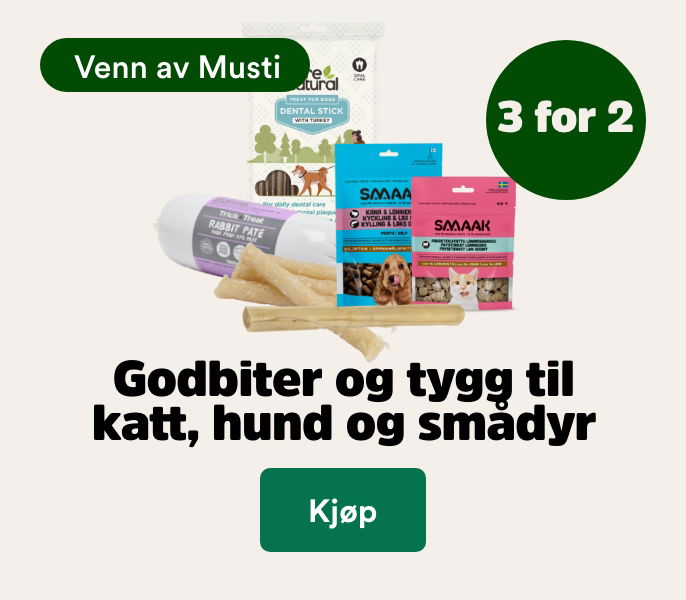 musti.no startside valp k1 godbiter 3 for 2