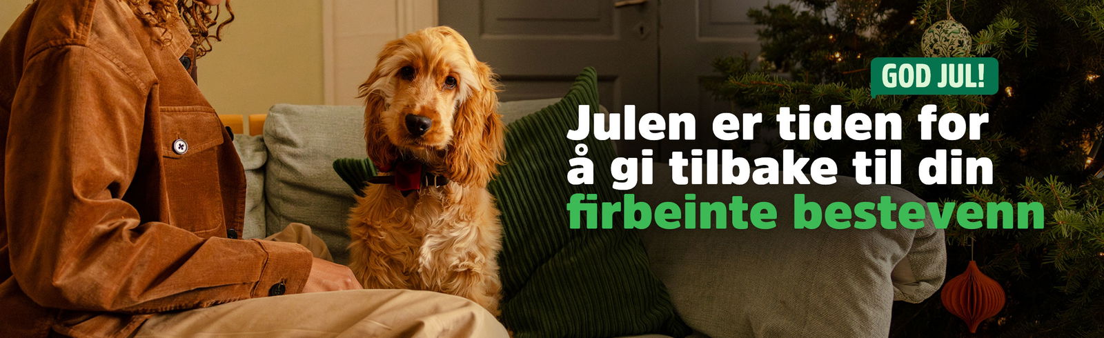 musti.no startside hund jul