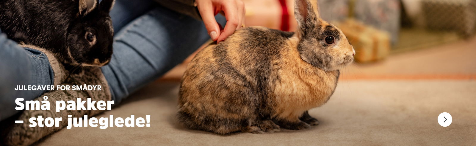 musti.no jul startside julegavetips til smådyr