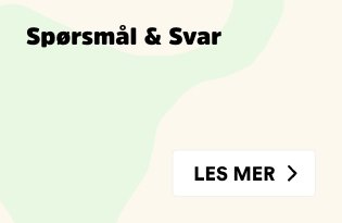 spørsmål og svar om hundesalongene