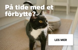 På tide å bytte kattens fôr?