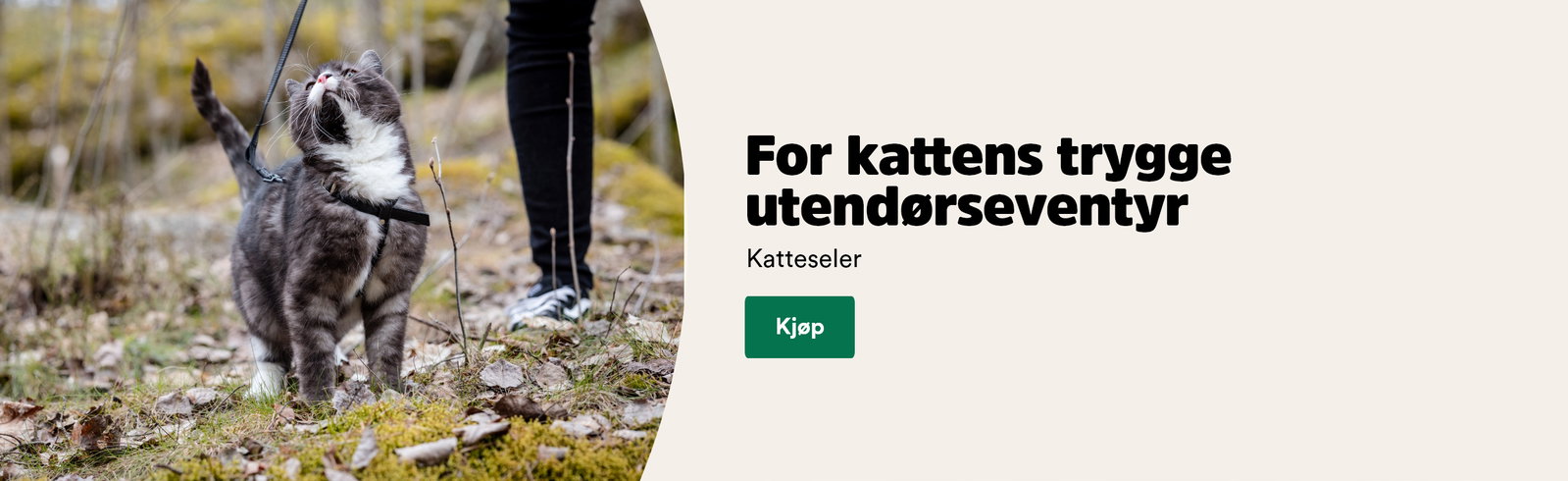 musti.no startside katt katteseler