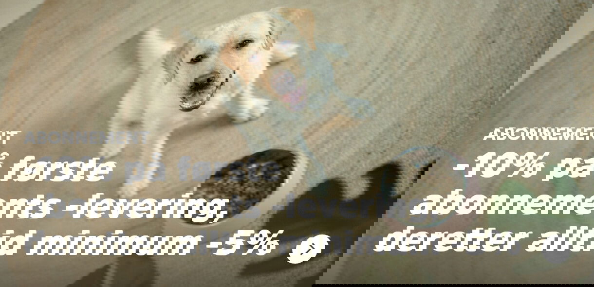 musti.no startside katt abonnere på fôr og få den beste prisen